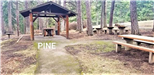 Kamiak Butte County Park Pine Shelter