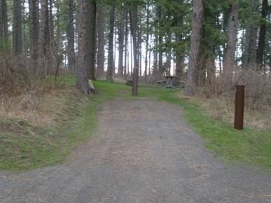 Kamiak Butte County Park Camping Site
