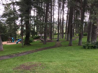 Kamiak Butte County Park Trail